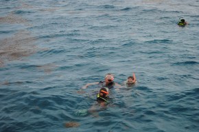 12522588715_a3dedc71ba_z