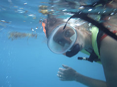 12522799245_de09889f1c_m