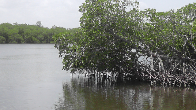 12528672044_074baf9fe8_z