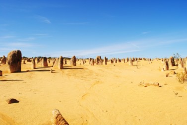 12558198073_6d31dd8f2a_k