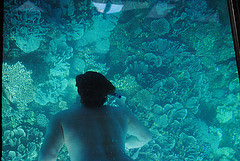 12558930735_29cd9e1b06_m