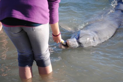 12559127355_bda1d7c1ec_z