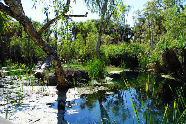 12561958213_f1130ea365_z