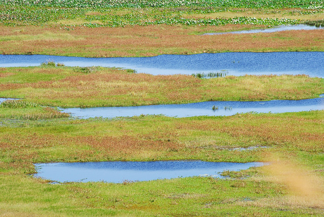 12562158733_7b30602b9c_z