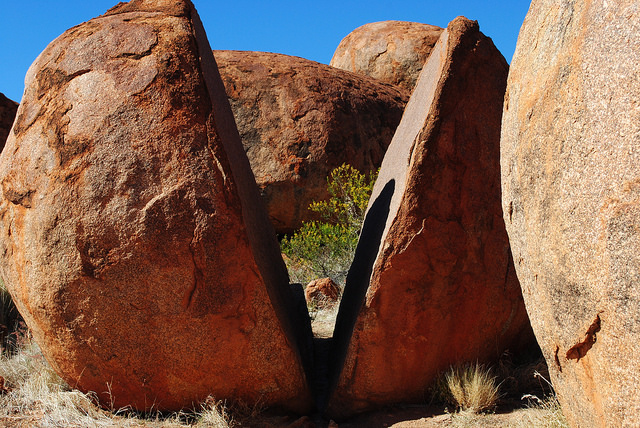 12562288254_72384ed767_z