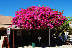 12562310504_16df12c884_m