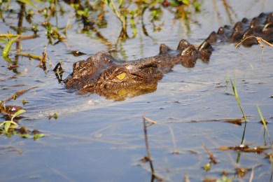 12562451094_0b1e3589f0_z