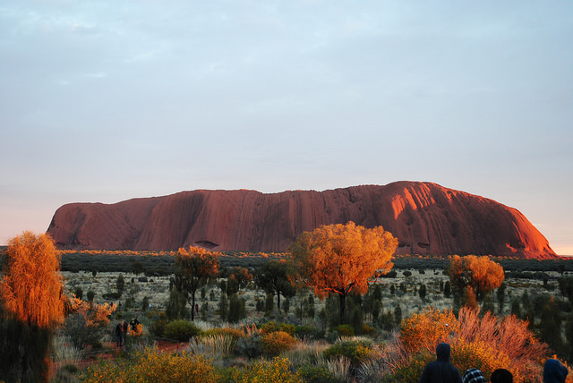 12566353433_129a8a33ba_z