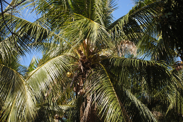 12568077204_1283e5a5c0_z