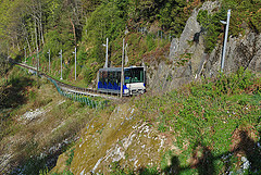 14116516143_5b359c4f45_m