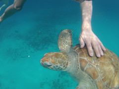 18127742038_0ffe58ea31_m