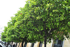 18133962449_174892dd06_m