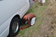 18310380572_38d4577edb_m