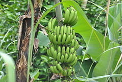 18311052292_f68da22130_m