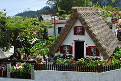 18315696252_2ecc155e1d_m