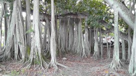 7553466628_1a863c47b4_z