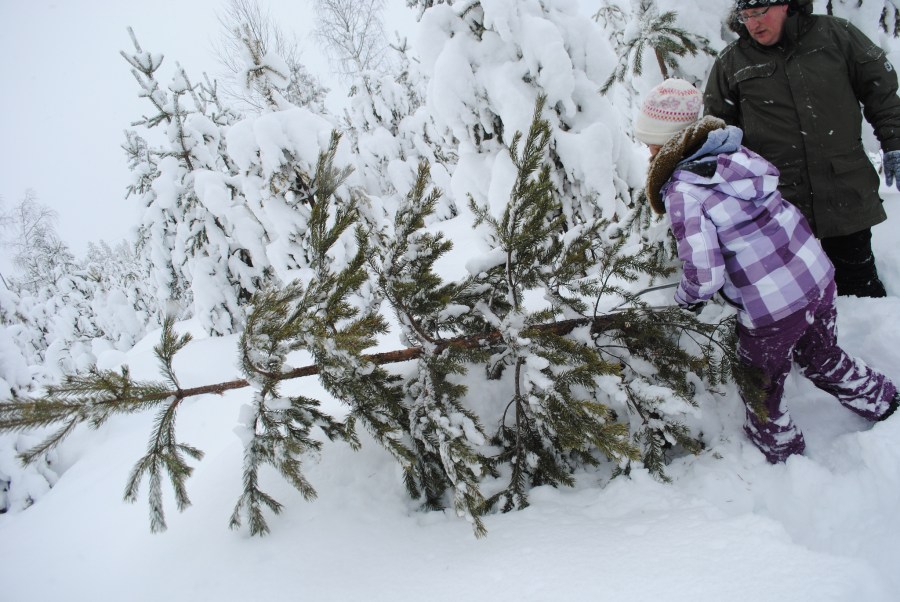 8350158080_95c94cf60b_k