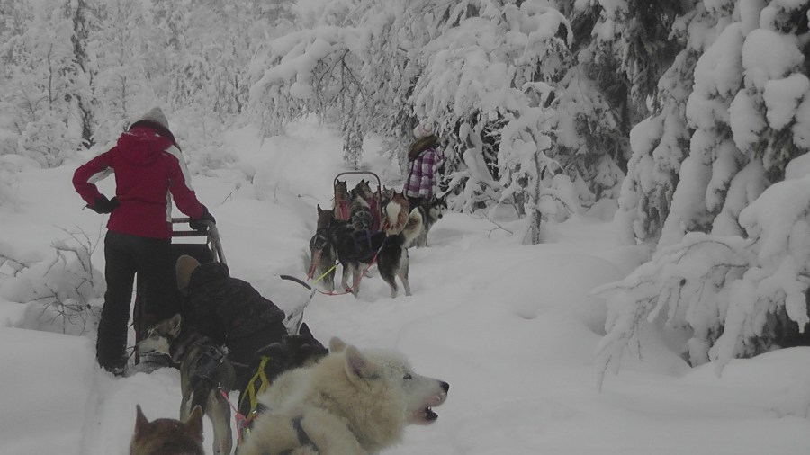 8350290566_2662495152_k