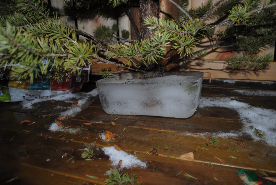 8350493836_e9fb73592a_k