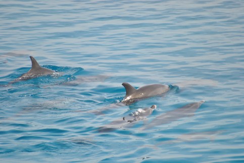 8575035757_4b771335e6_z