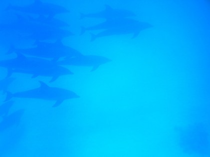 8576242208_d7ec793880_z