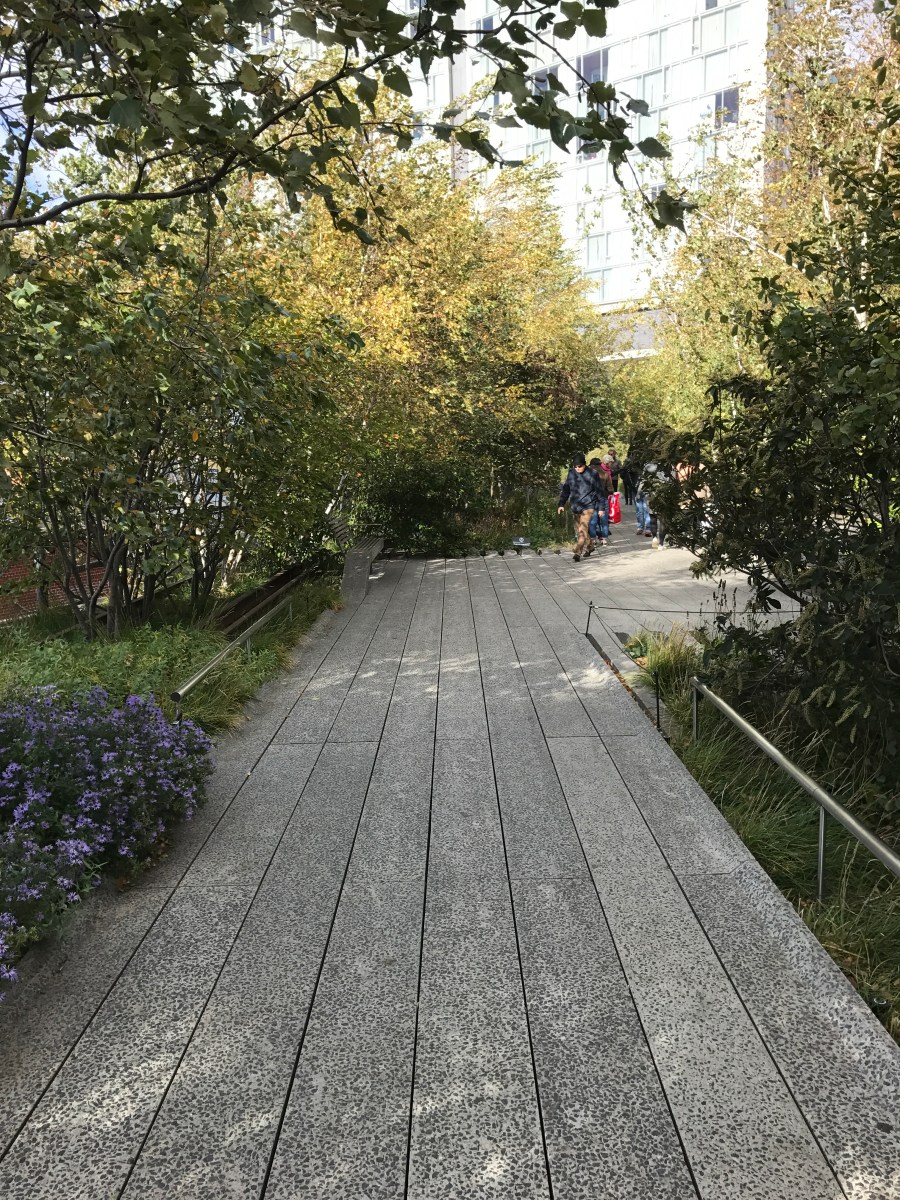 20161028_185446738_ios