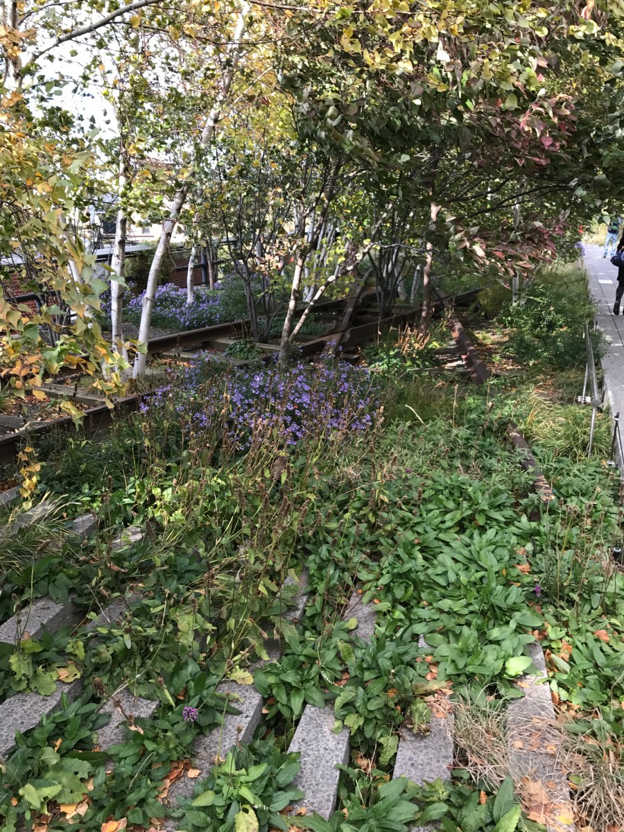 20161028_185528047_ios