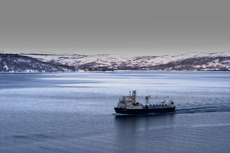 Norwegen Elisabeth B-110