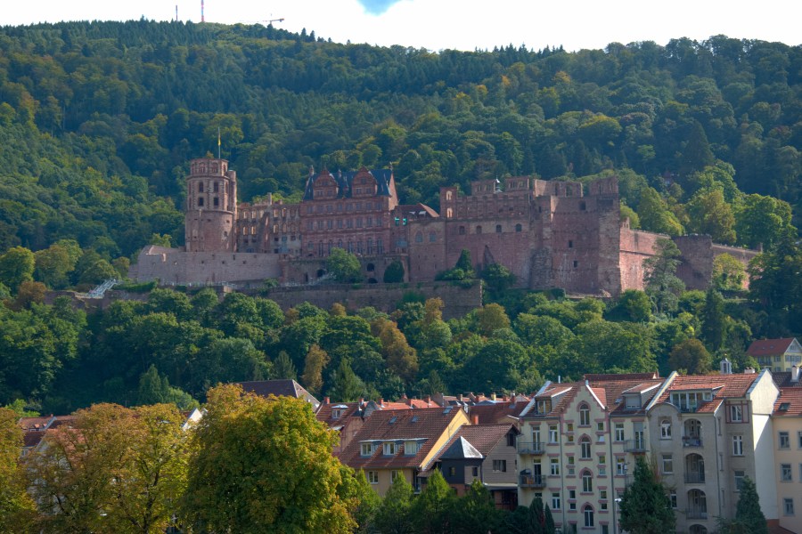Heidelberg 2017-83
