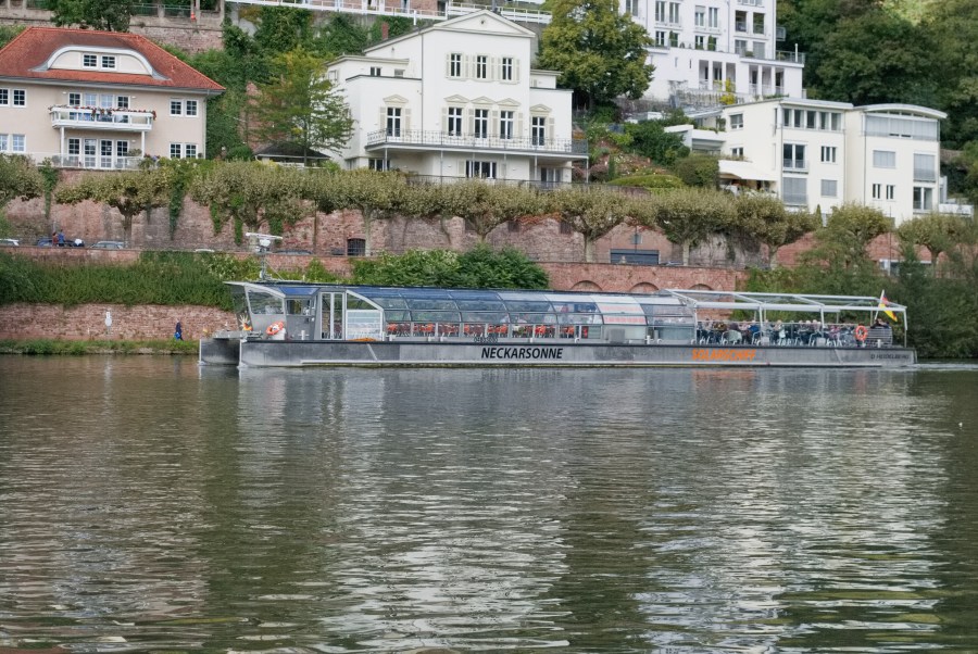 Heidelberg 2017 Elisabeth-68