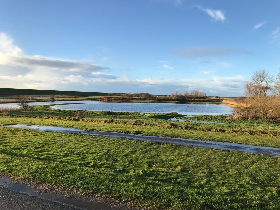 20171216_092120186_iOS