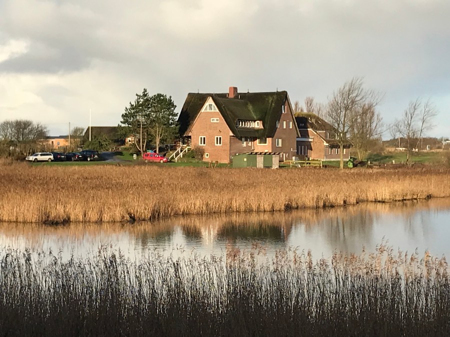 20171216_092614546_iOS