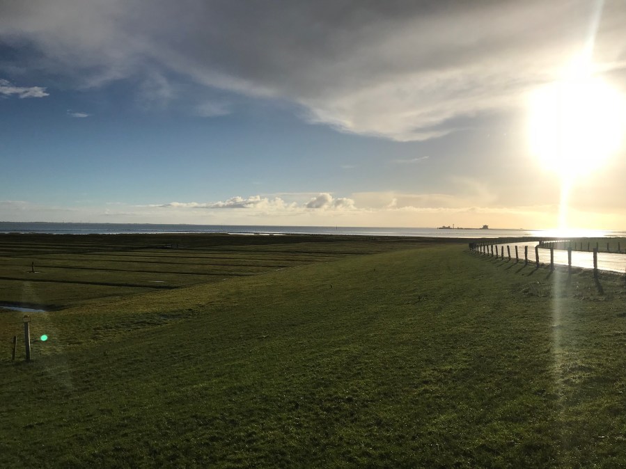 20171216_101009977_iOS