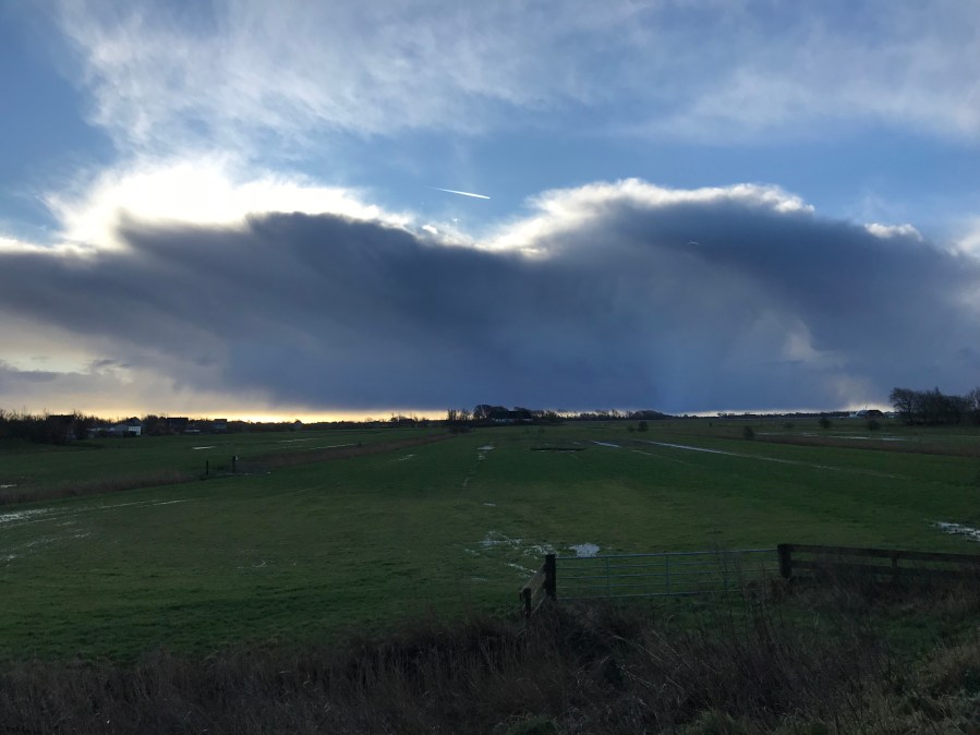 20171216_110328642_iOS