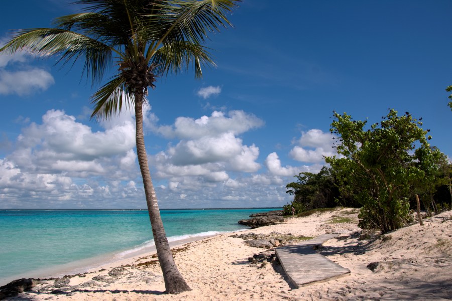 Karibik 2017 (1030 von 1815)