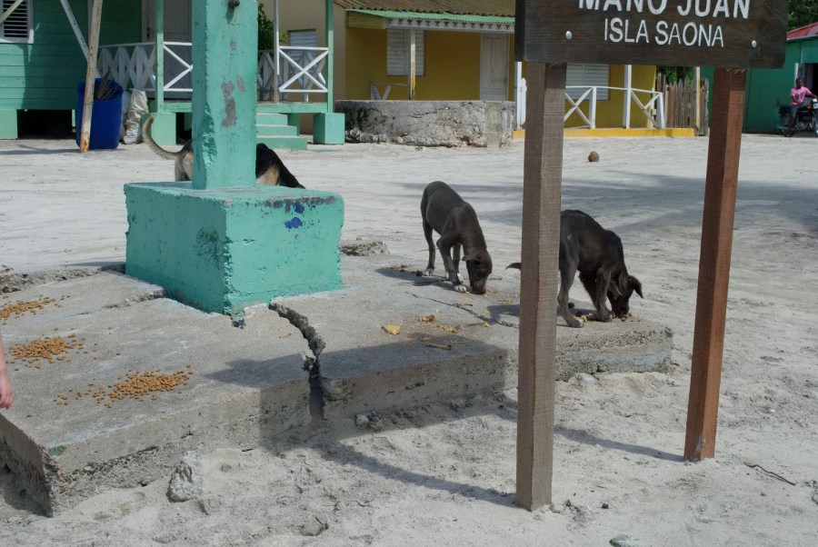 Karibik 2017 (1041 von 1815)