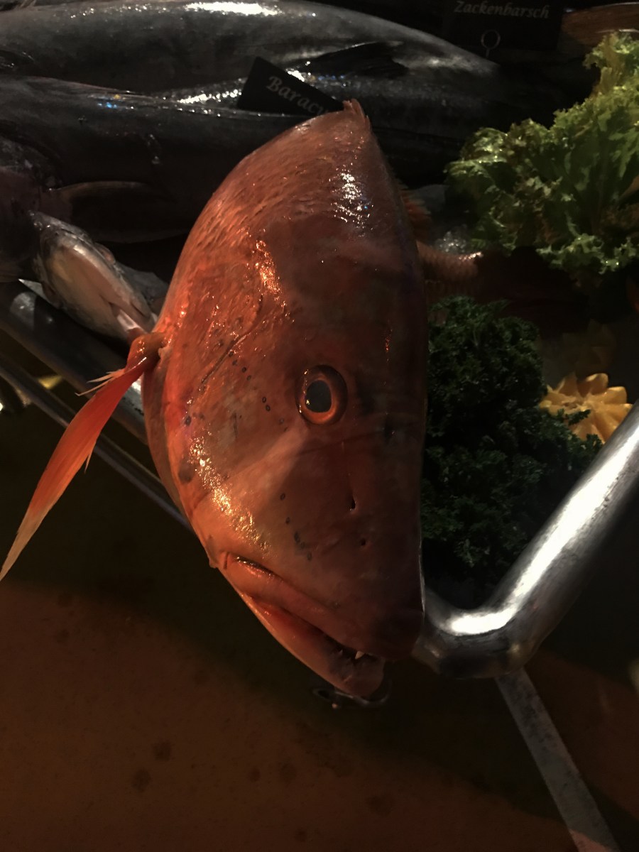 Karibik 2017 (1350 von 1815)