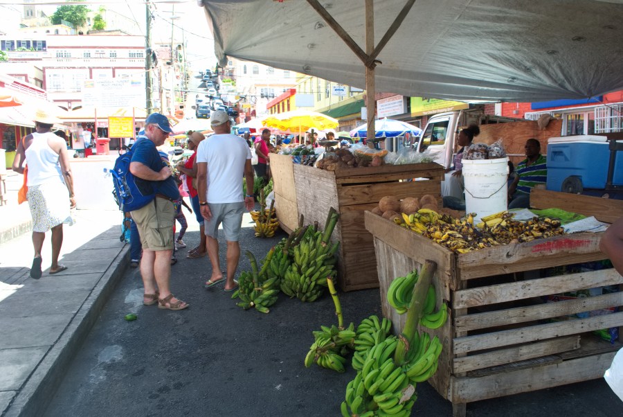 Karibik 2017 (1409 von 1815)