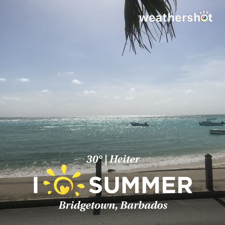 Karibik 2017 (1554 von 1815)