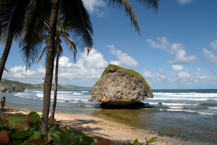 Karibik 2017 (1663 von 1815)