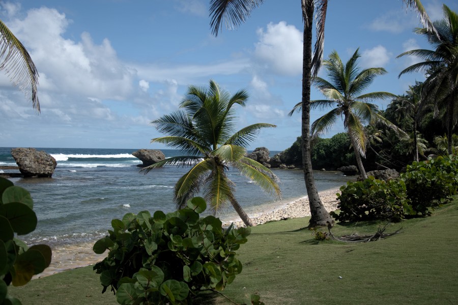 Karibik 2017 (1694 von 1815)