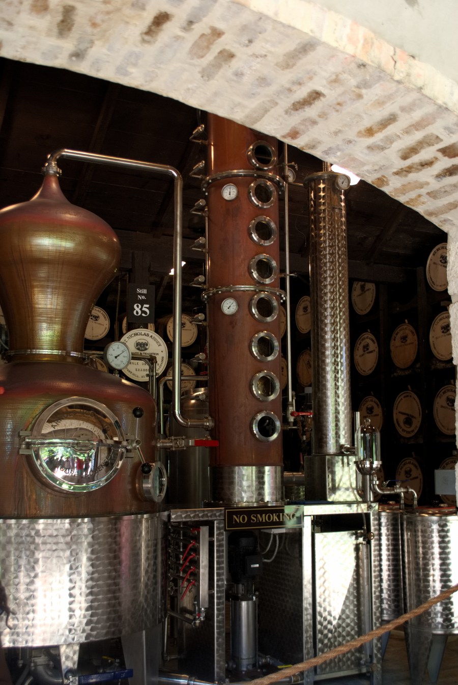 Karibik 2017 (1725 von 1815)