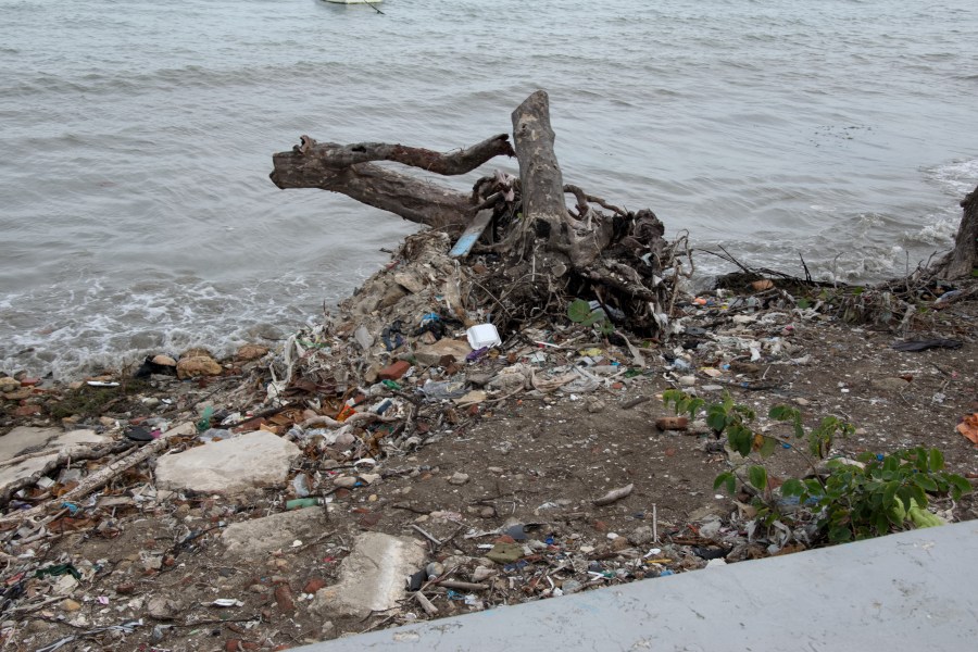 Karibik 2017 (809 von 1815)