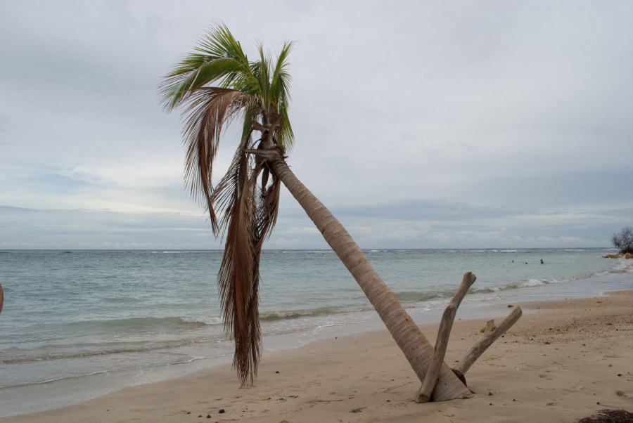 Karibik 2017 (873 von 1815)