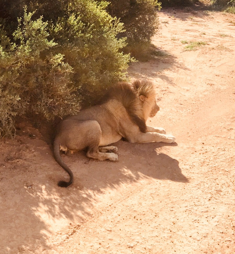 2018-03-08-15h46m09-1