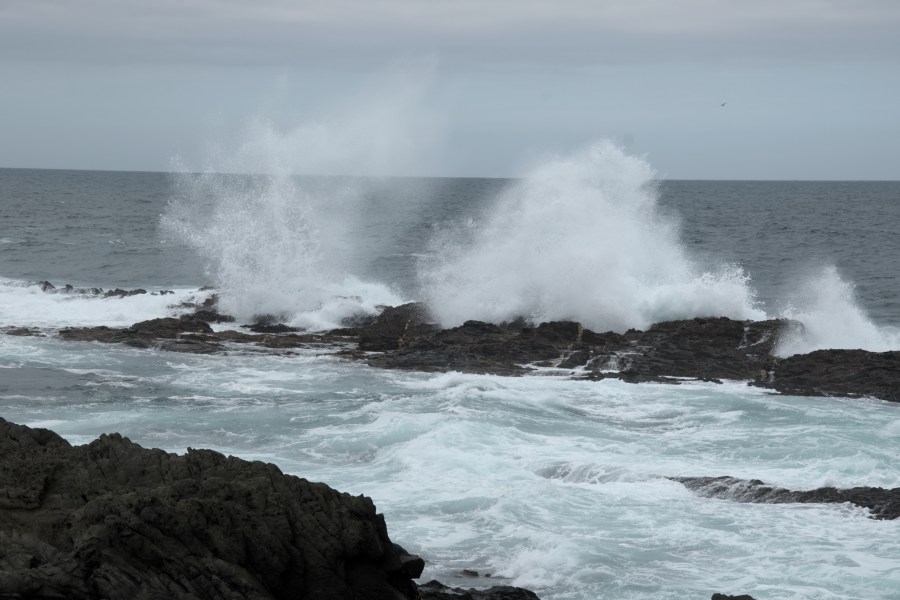 2018-03-28-13h05m58-1
