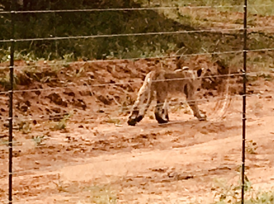 2018-04-06-08h39m20-1