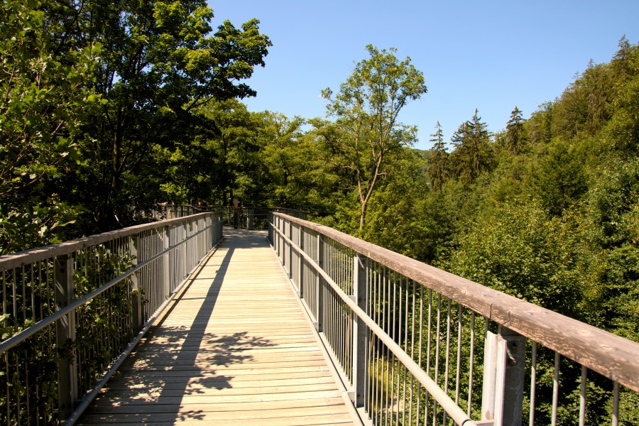 Harz 2018 (194 von 236)