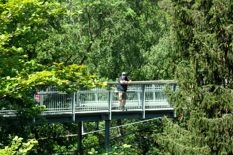 Harz 2018 (213 von 236)