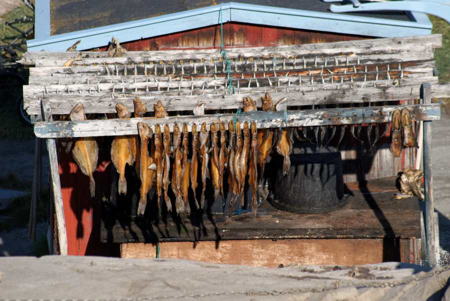 Island Grönland 2018 (1146 von 2507)-min